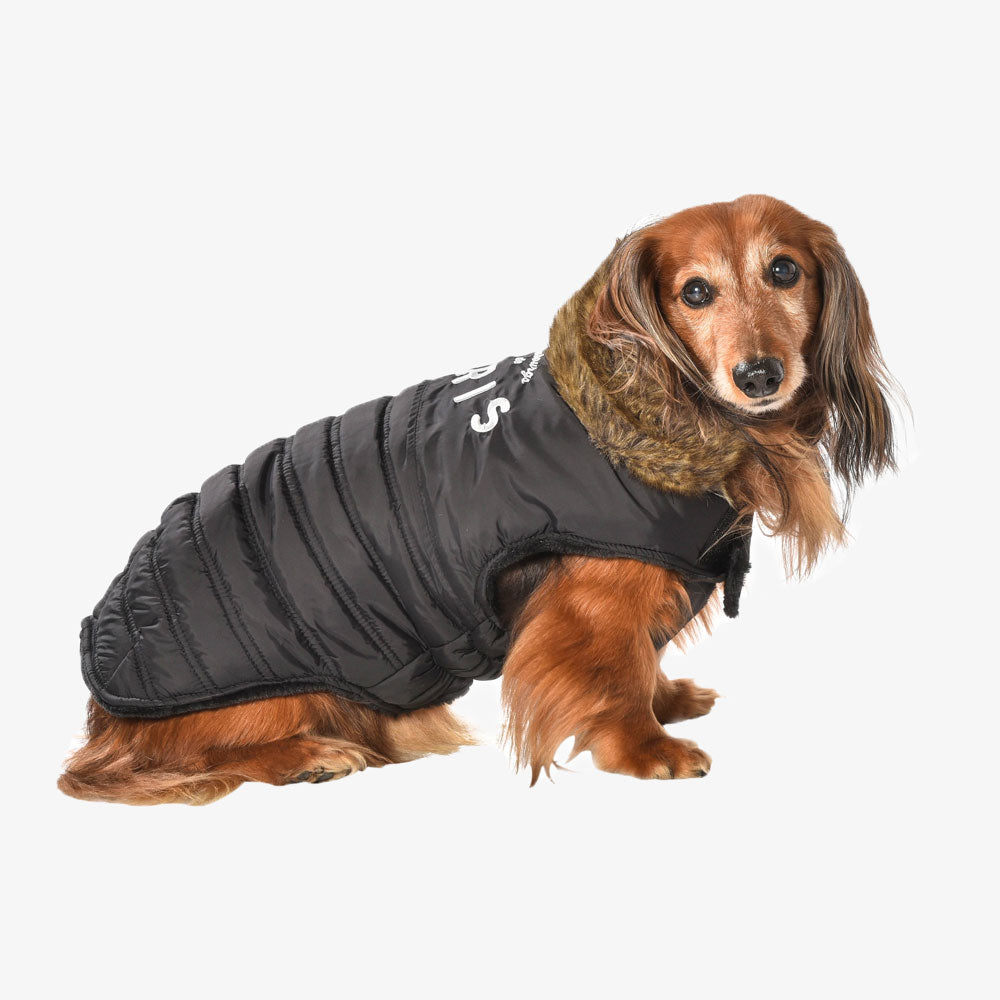 Bobby Bee Knitted Dog Pullover