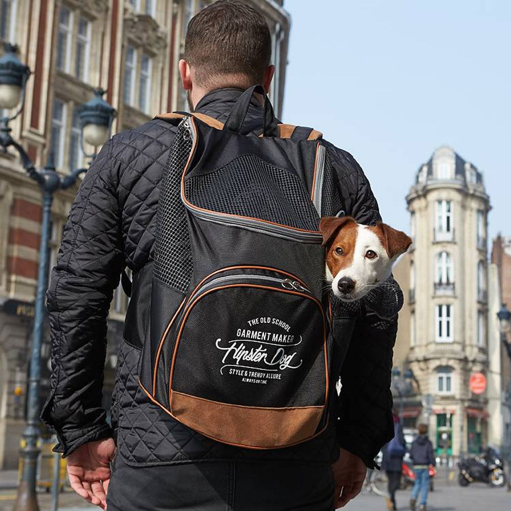 Backpack for cat or dog