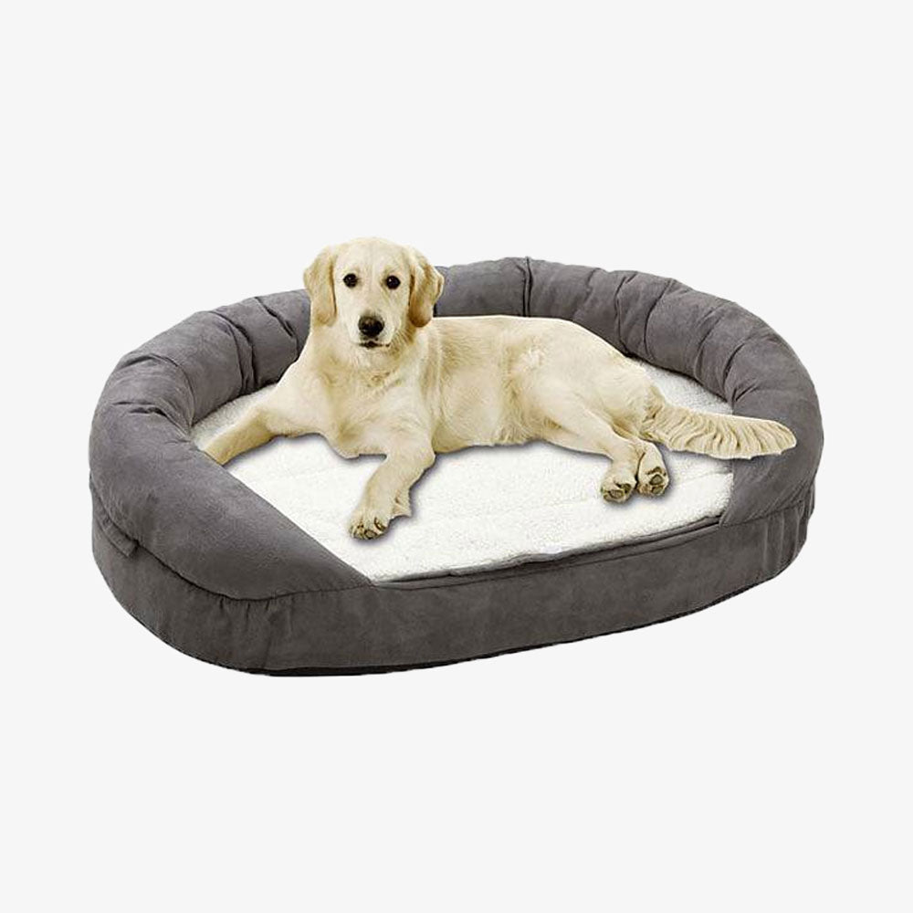 Bed for cat & Small Dogs